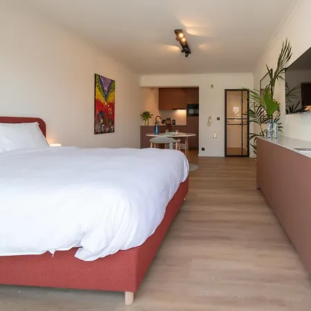 Deluxe Mijnplein O 05 * Ostend